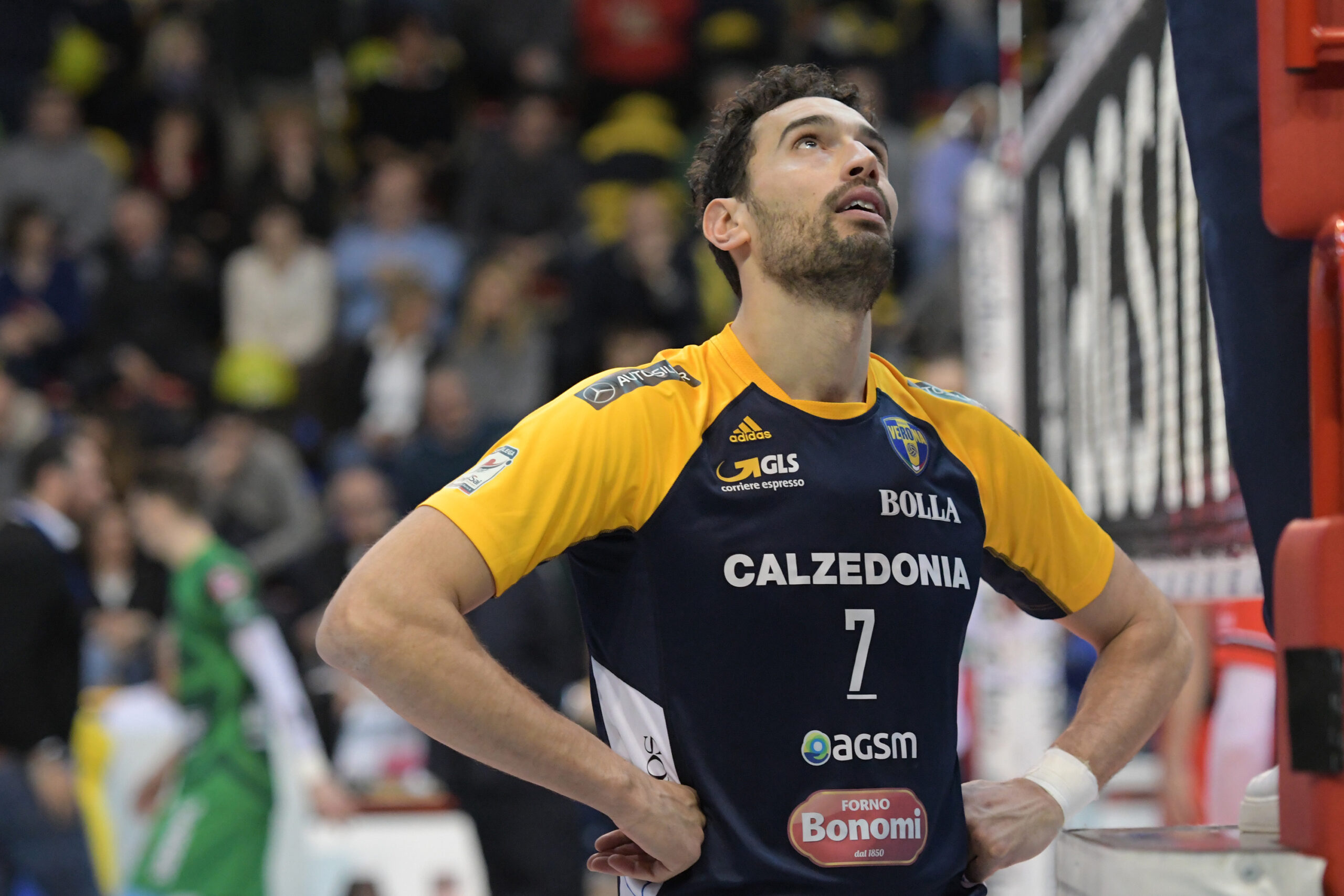 CALZEDONIA BLUE VOLLEY -PIACENZA WIXO LPR